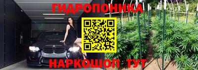 Альфа ПВП Пушкино