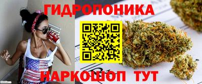 трава Пугачёв
