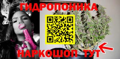 Альфа ПВП Пушкино